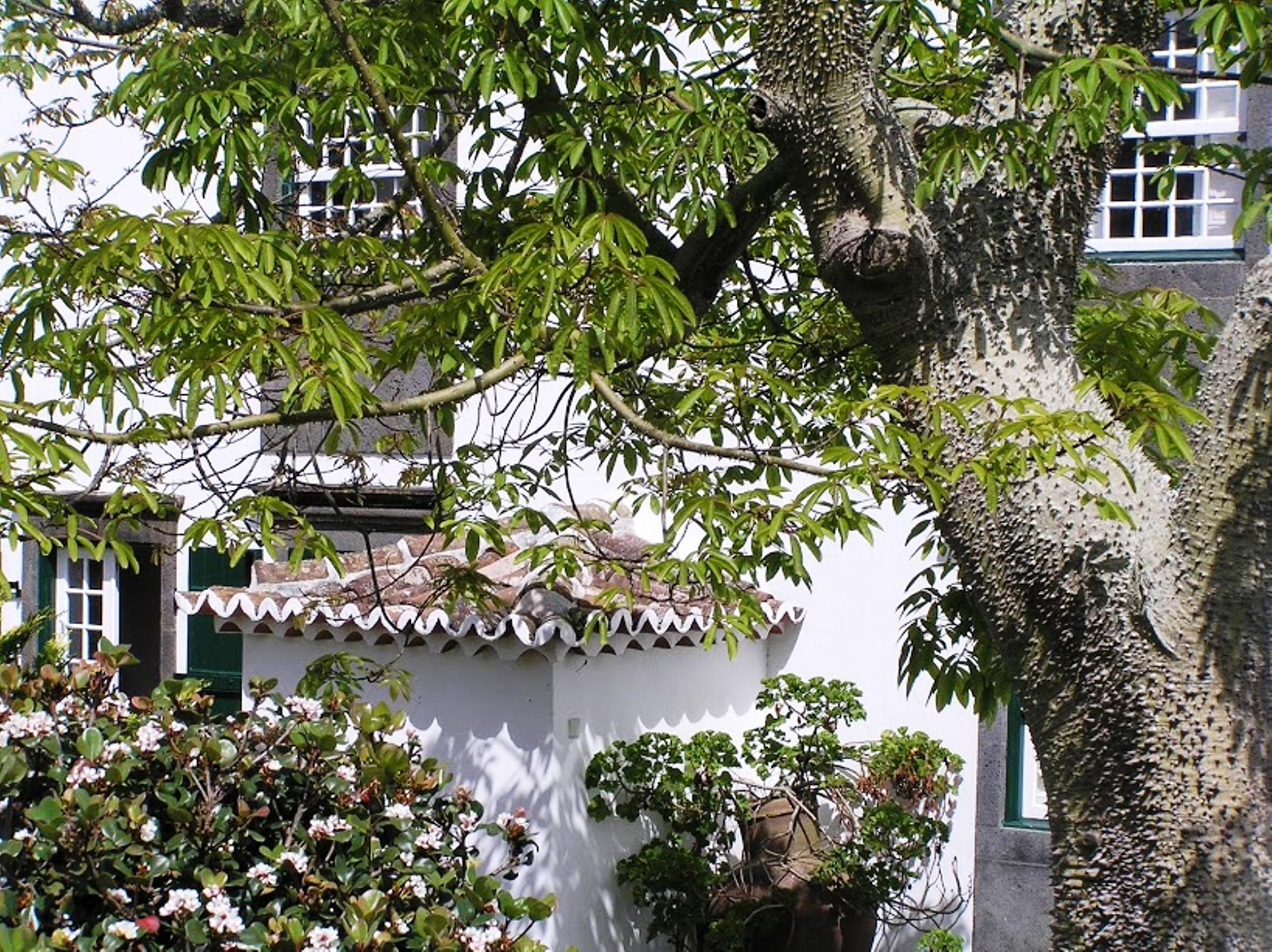 Casa Das Calhetas - Turismo De Habitacao Dış mekan fotoğraf